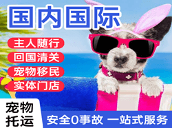 泉州航空货运国际宠物托运 【国